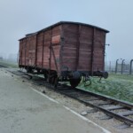 Wycieczka do Auschwitz