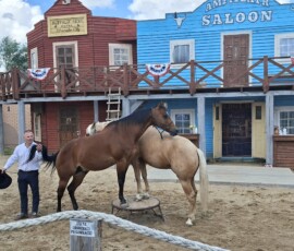 Silver City Silver City